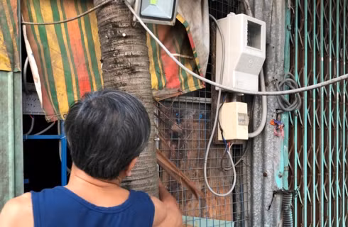 Ông Châu kể lại vụ việc và chỉ nơi nhóm đối tượng ngắt cầu dao điện rồi hành động chém phá, nổ súng.