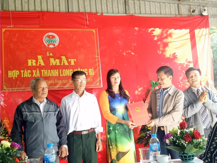 TP Uông Bí trao quyết định thành lập HTX Thanh long Uông Bí cho các thành viên HDQT HTX