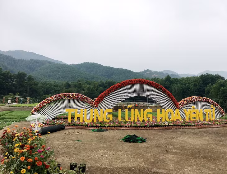 Dự kiến, đây sẽ trở thành một địa điểm check in vô cùng hấp dẫn dưới chân núi Yên Tử cho những người yêu hoa đến tham quan và chụp ảnh.
