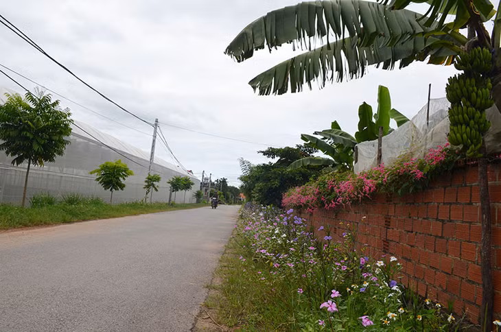 Chương trình xây dựng NTM đã tạo cho diện mạo các vùng nông thôn của xã Tiền An ngày càng khang trang, sạch, đẹp. 