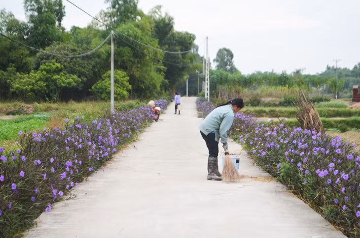 Những tuyến đường bình dị, dân dã ở xã Tiền An.
