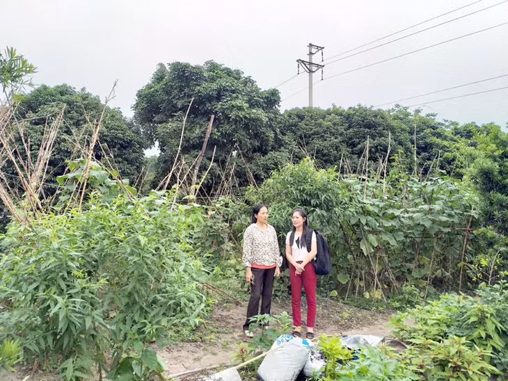 Cán bộ xã Đông Xá(Vân Đồn) xuống địa bàn thôn Đông Trung tuyên truyền, vận động nông dân thực hiện tốt Chương trình Xây dựng NTM khảo sát mô 