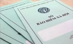 Trốn đóng bảo hiểm có thể bị phạt tù 7 năm.