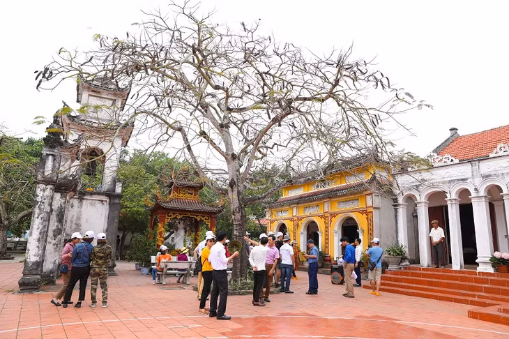 Khám phá đình chùa, miếu, nghè Quan Lạn.