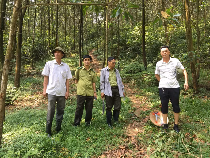 Ban quan lý rừng phòng hộ Yên Lập kiểm tra rừng.