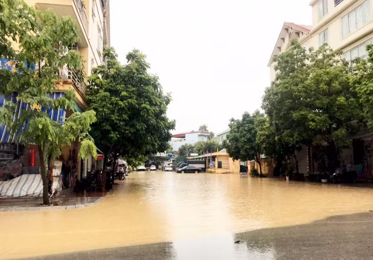 Khu vực cổng trường THCS Bãi Cháy.