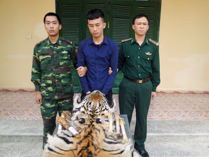 Đối tượng Phạm Văn Hiệp cùng tang vật bộ da hổ bị CBCS Đồn Biên phòng Hải Hòa bắt giữ ngày 10/4/2019..