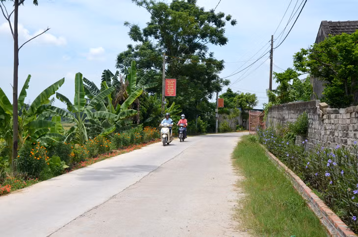 Xây dựng NTM