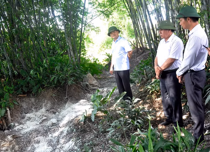 Đồng chí Phó Chủ Tịch kiểm tra điểm tiêu hủy số lợn bị dịch tả Châu Phi tại thôn 11, xã Hải Xuân, TP Móng Cái.