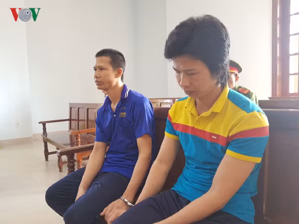 Hai anh em ruột lĩnh án vì xâm hại tình dục bé gái dưới 16 tuổi.