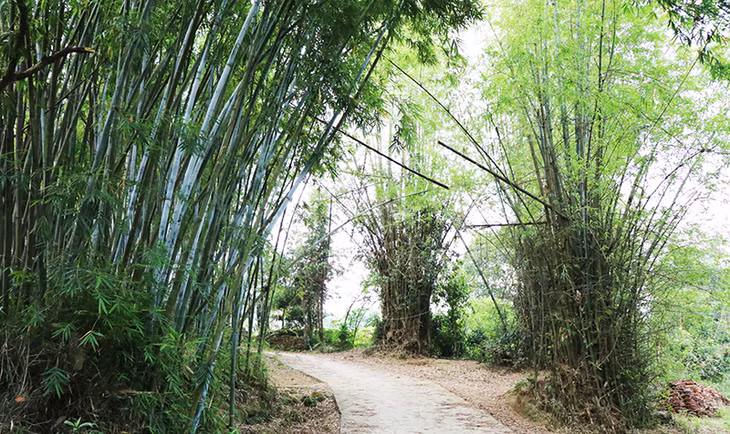 Bản Cáu có không gian khoáng đạt, phong cảnh thanh bình, hữu tình