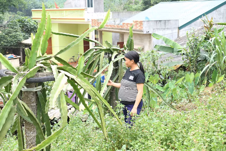 Sau khi thoát nghèo vợ chồng anh thấy tốt hơn nhiều trước kia khi còn ở hộ nghèo