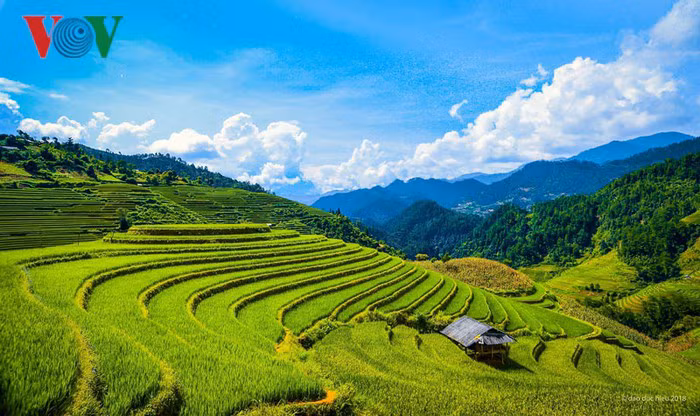  Mù Cang Chải, Yên Bái: Nếu muốn tránh nắng nóng ngày hè thì còn gì tuyệt vời hơn cảm giác thư thái khi được hòa mình vào núi rừng xanh mát và đắm chìm trong vẻ đẹp nao lòng của Mù Cang Chải mùa nước đổ.