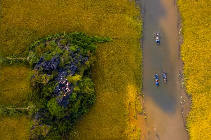 Tuần Du lịch Ninh Bình còn là “đại hội nhiếp ảnh” khi thu hút hàng trăm tay máy từ khắp vùng miền đến, ghi lại cảnh đẹp mùa lúa chín Tam Cốc. Người chụp đứng trên những khối núi đá vôi để lấy góc chụp từ trên cao.
