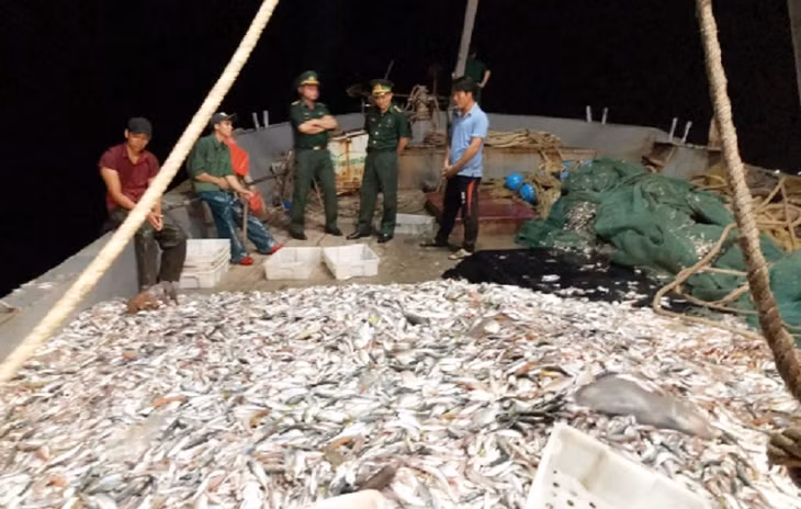 Phương tiện cùng tang vật do BĐBP tạm giữ.