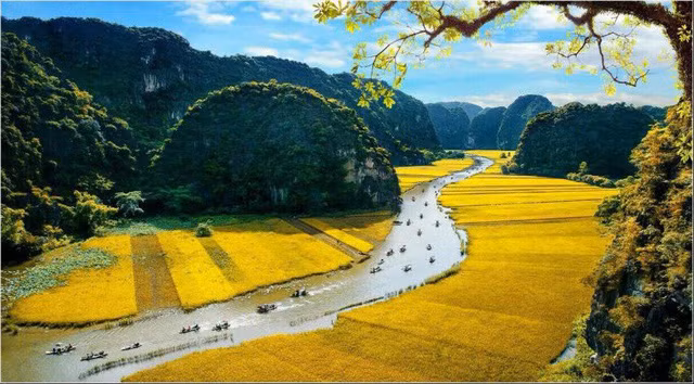 Tuần Du lịch Ninh Bình 2019 với chủ đề "Sắc vàng Tam Cốc – Tràng An" sẽ chính thức khai mạc vào ngày 18/5 tới/ninhbinh.gov.vn
