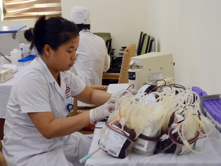 Những đơn vị máu được hiến sẽ được nhân viên y tế chuyển về ngân hàng máu tại Bệnh viên Đa khoa tỉnh