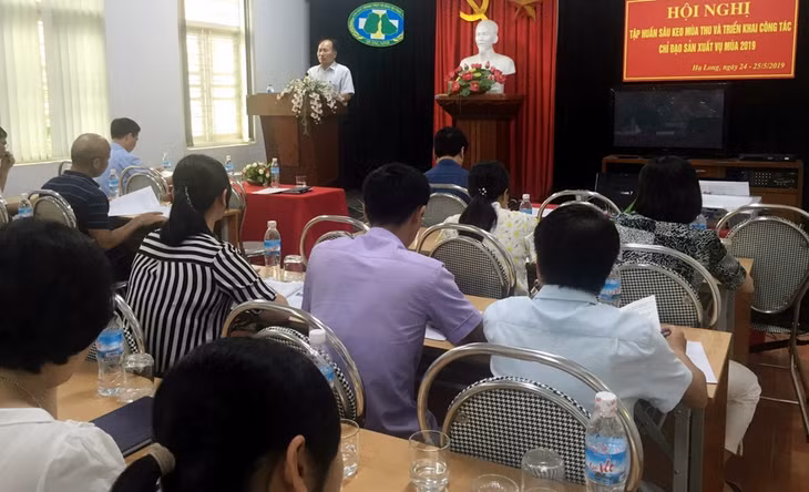 Quang cảnh buổi sơ kết vụ Đông Xuân 2018-2019