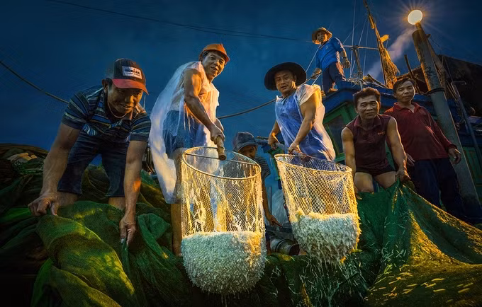 “Mỗi lượt đánh bắt thu hoạch được 10-20 sọt cá, mỗi sọt tầm 20 kg và bán được với giá khoảng một triệu đồng”, anh Hòa dẫn lời một ngư dân từ làng chài Nhơn Hội cho biết.