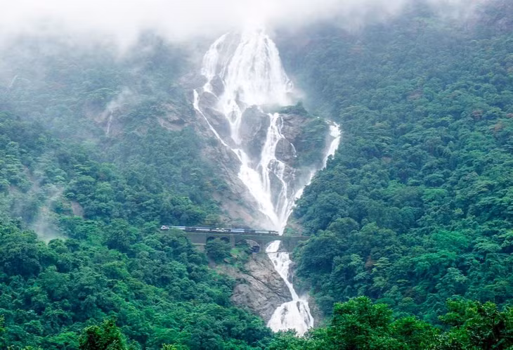  12. Thác Dudhsagar, Ấn Độ: Tên gọi ngọn thác này có nghĩa là "biển sữa". Ngọn thác hùng vĩ nằm ở sông Mandovi, miền Nam Ấn Độ. Đây là thác nước cao nhất của Ấn Độ với chiều cao 309 m, cũng là điểm du lịch hấp dẫn với bất kỳ du khách nào tới đây. Một đường mòn cũng được xây dựng xung quanh khu vực để du khách có thể tham quan trọn vẹn ngọn thác từ nhiều góc độ.