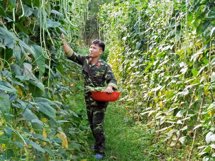 Cán bộ chiên sĩ Ban CHQS huyện Đầm Hà đẩy mạnh tăng gia sản xuất. 