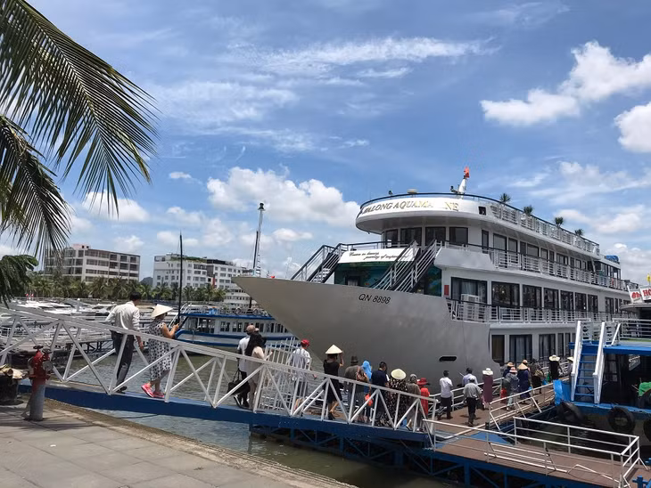 Tàu nghỉ đêm trên Vịnh Hạ Long được nhiều du khách lựa chọn, trải nghiệm. 