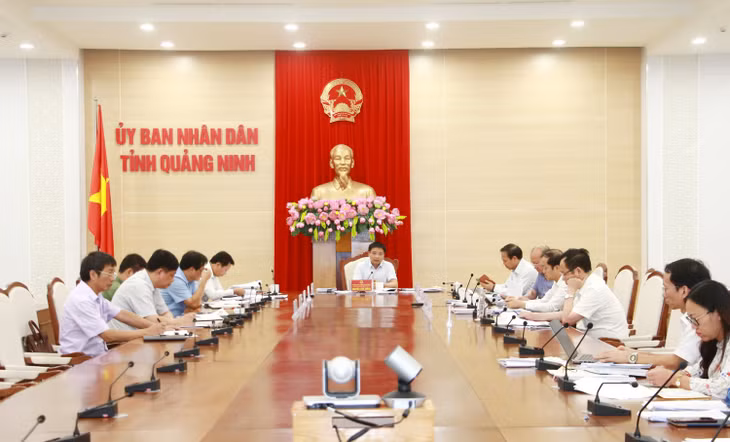 Ban Cán sự Đảng và Thường trực UBND tỉnh cho ý kiến về lựa chọn nhà đầu tư dự án sản xuất giống nhuyễn thể tập trung tại huyện Vân Đồn