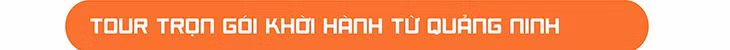 Vietravel ảnh 4
