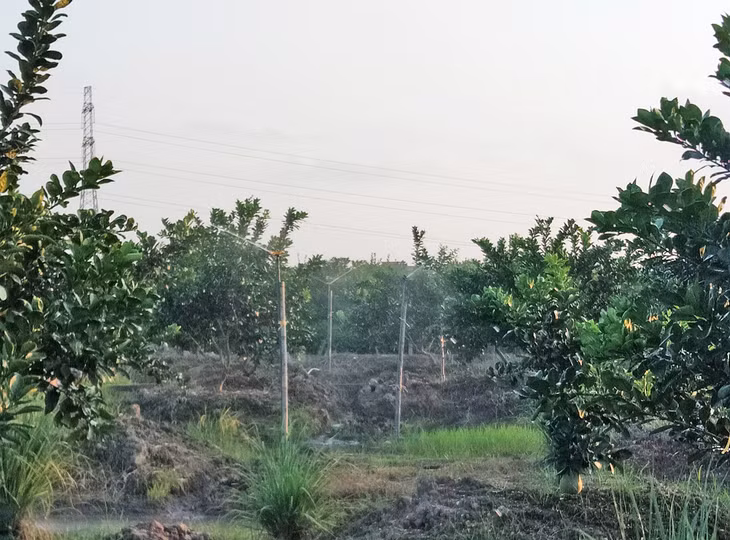  Mô hình tưới văng điều khiển bằng điện thoại thông minh của hộ ông Nguyễn Văn Hùng, xã Việt Dân, TX Đông Triều mang lại nhiều thuận tiện cho gia đình trong quá trình chăm sóc.