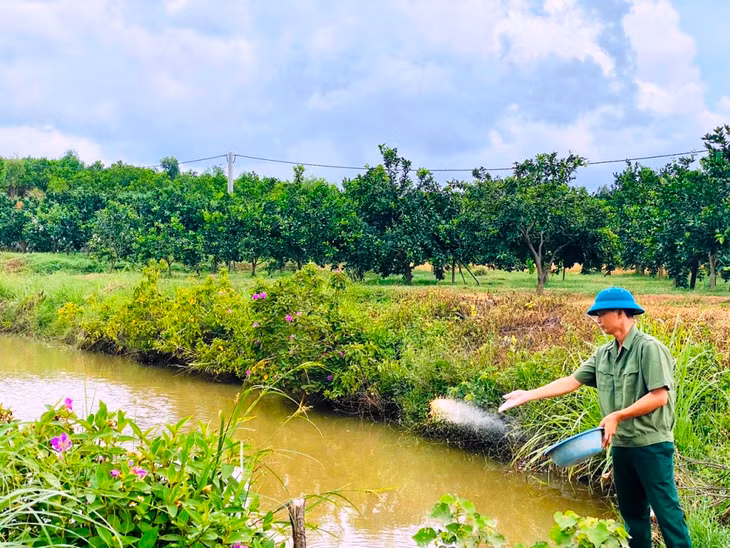 Không chỉ trông cây ăn quả, CCB Nguyễn Văn Chiến còn đào ao thả cá trên diện tích gần 3000m 