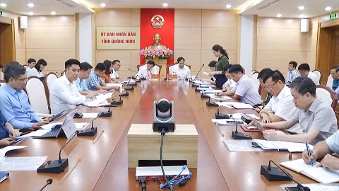 Quang cảnh buổi làm việc