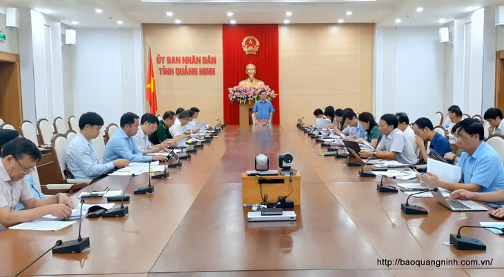 Phó Chủ tịch UBND tỉnh Bùi Văn Khắng phát biểu kết luận cuộc họp.