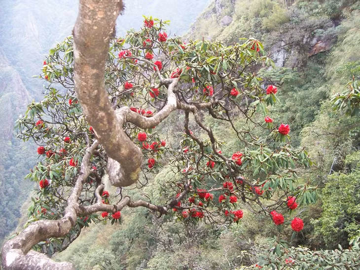 Nơi đây còn được coi là 