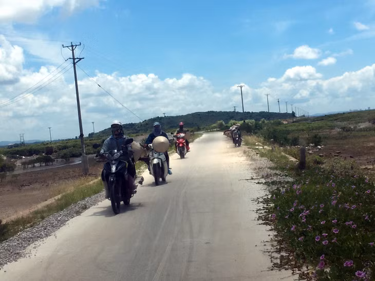 Khu vực bãi triều 2 bên đường vào núi Tổ chim, phường Hải Hòa là nơi kiếm sống của hàng trăm người dân một số xã, phường của TP Móng Cái.
