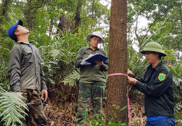 Đánh giá nguồn gen
