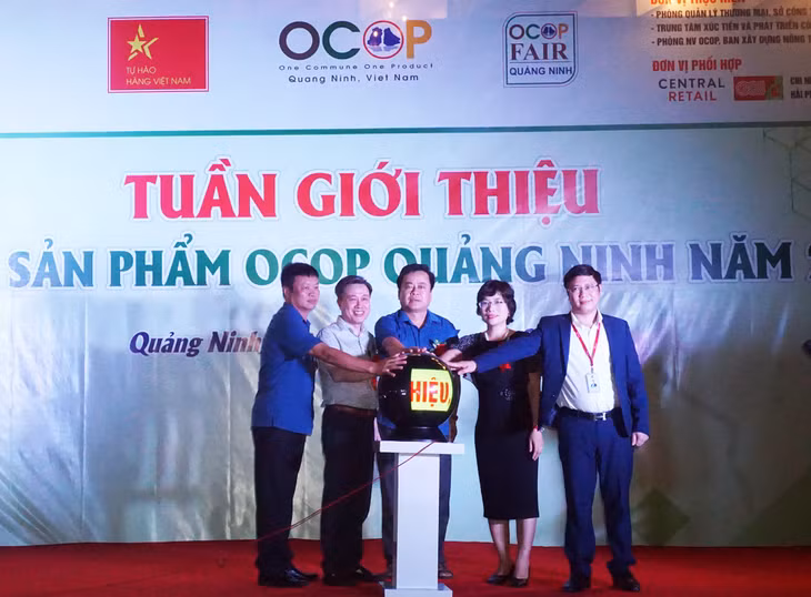 Các đại biểu cùng ấn nút khai mạc chương trình