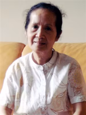Chuyên gia kinh tế Phạm Chi Lan . 