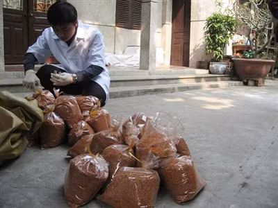 Thanh tra y tế xét nghiệm nhanh phát hiện phụ gia độc hại trong ớt bột. Ảnh: Lê Dương.