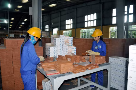 Sản xuất gạch tại Nhà máy gạch Cotto Giếng Đáy.