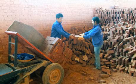 Đi vào hoạt động từ đầu năm 2011, Nhà máy gạch Tuynel của Công ty TNHH Xây dựng Thắng Lợi tại xã Quảng Phong, Hải Hà đã giải quyết việc làm cho hơn 100 lao động.