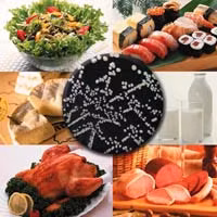 Listeria là một loại vi khuẩn tồn tại trong thức ăn và gây ngộ độc đang được cho là có tác dụng điều trị ung thư tụy. (Ảnh minh họa)