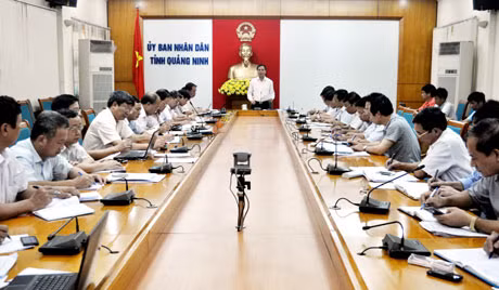 Đồng nghiệp Đặng Huy Hậu, Phó Chủ tịch UBND tỉnh chủ trì cuộc họp.