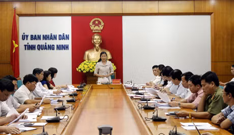 Đồng chí Đỗ Thị Hoàng, Phó Bí thư Thường trực Tỉnh ủy, Trưởng đoàn ĐBQH tỉnh phát biểu tại cuộc họp