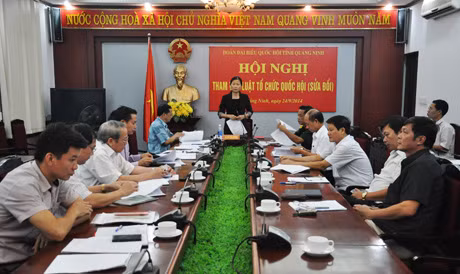 Đồng chí Đỗ Thị Hoàng, Phó Bí thư Thường trực Tỉnh ủy, Trưởng Đoàn ĐBQH tỉnh kết luận hội nghị.