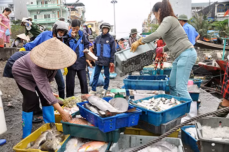 Thuỷ sản khai thác được ngư dân bán tại cảng Cái Rồng (Vân Đồn).