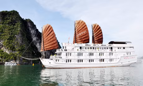 Hiện trên vịnh Hạ Long đang có 500 tàu du lịch được đầu tư hiện đại, đáp ứng nhu cầu tham quan, nghỉ dưỡng của khách du lịch. Ảnh: Đỗ Phương