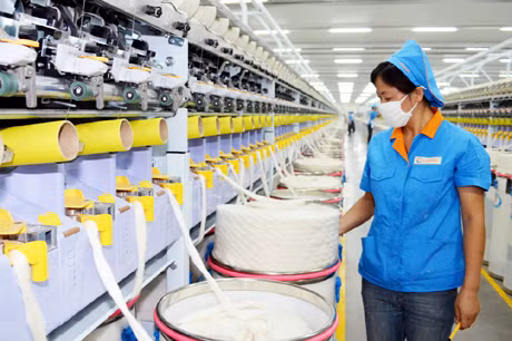 Sản xuất sợi bông xuất khẩu tại Công ty TNHH Texhong - Ngân Long, KCN Hải Yến (TP Móng Cái). Ảnh: Bá Khang (CTV)