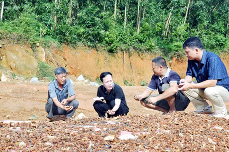 Người dân và cán bộ xã Đồng Văn giới thiệu với phóng viên Báo Quảng Ninh về sản phẩm hồi làm nguyên liệu chế biến tinh dầu ở địa phương.