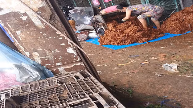 Những đôi chân đi lại trên nền chợ bẩn rồi thản nhiên giẫm lên đống me - Ảnh: Đức Trong