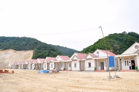 Dự án đầu tư xây dựng cơ sở hạ tầng phát triển dân cư đảo Trần đã cơ bản hoàn thành giai đoạn I.